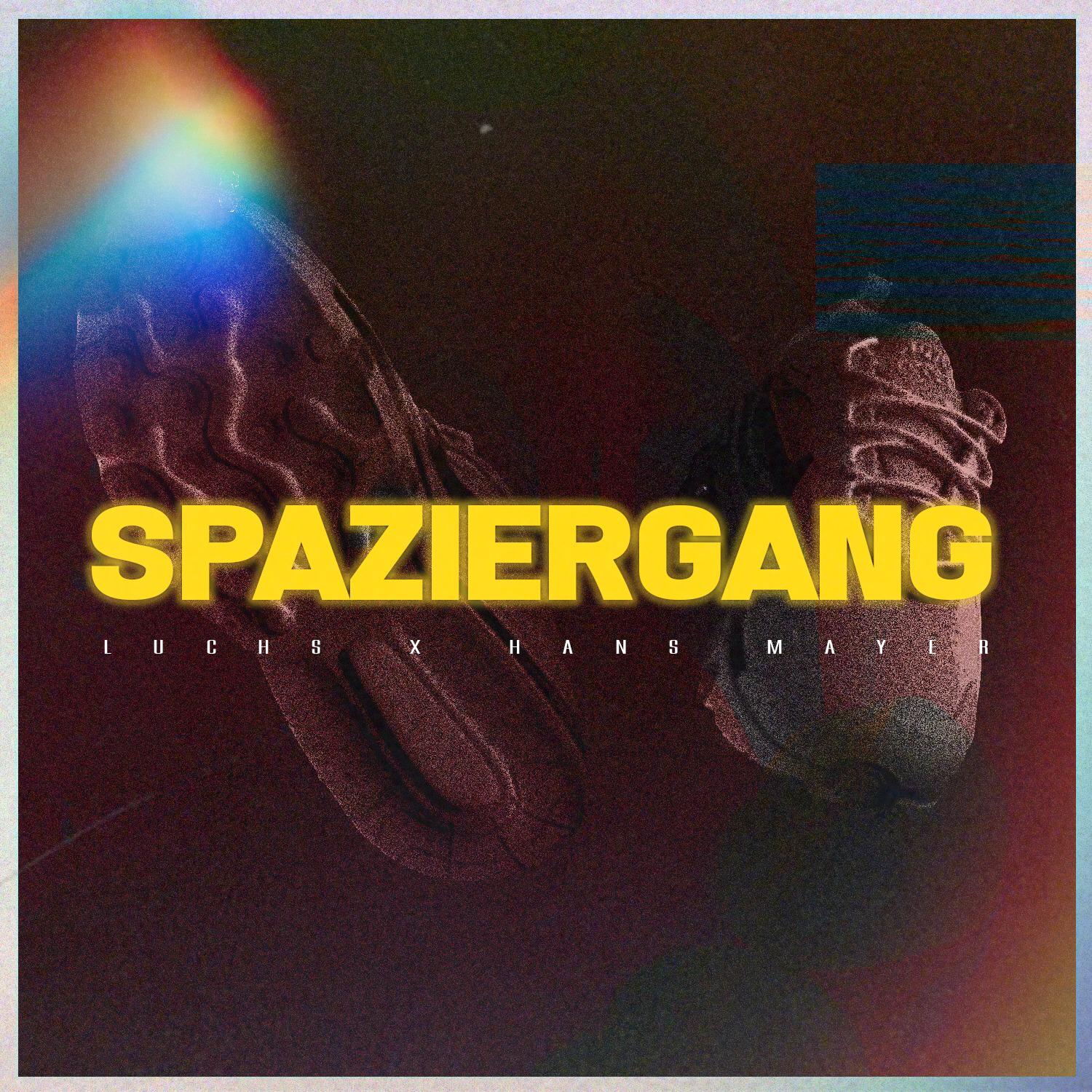 Cover Spaziergang